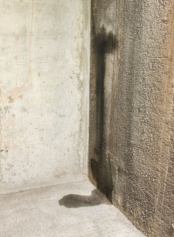 Basement Leak Repair in Fort Collins, CO