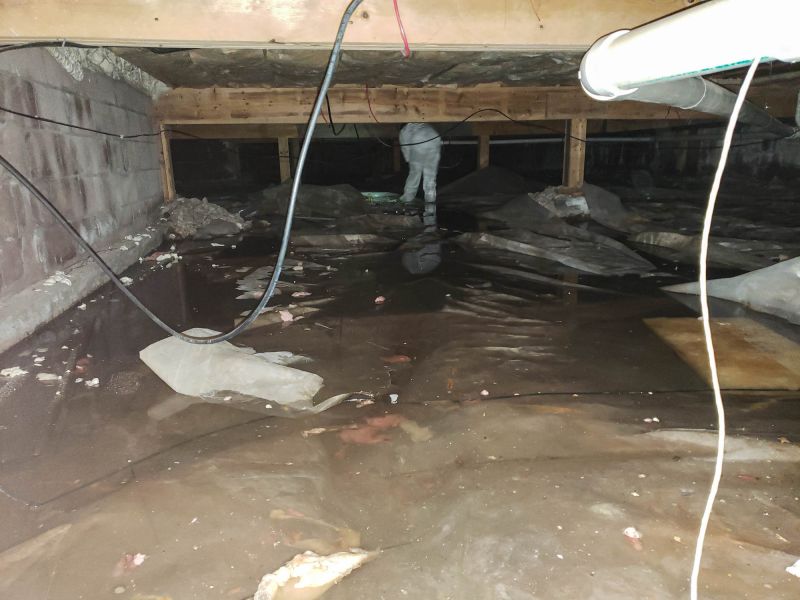Crawl Space Protection