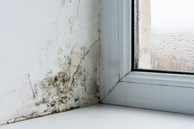 Prevent the Growth of Mold and Mildew by Getting a Moisture Barrier Installed!